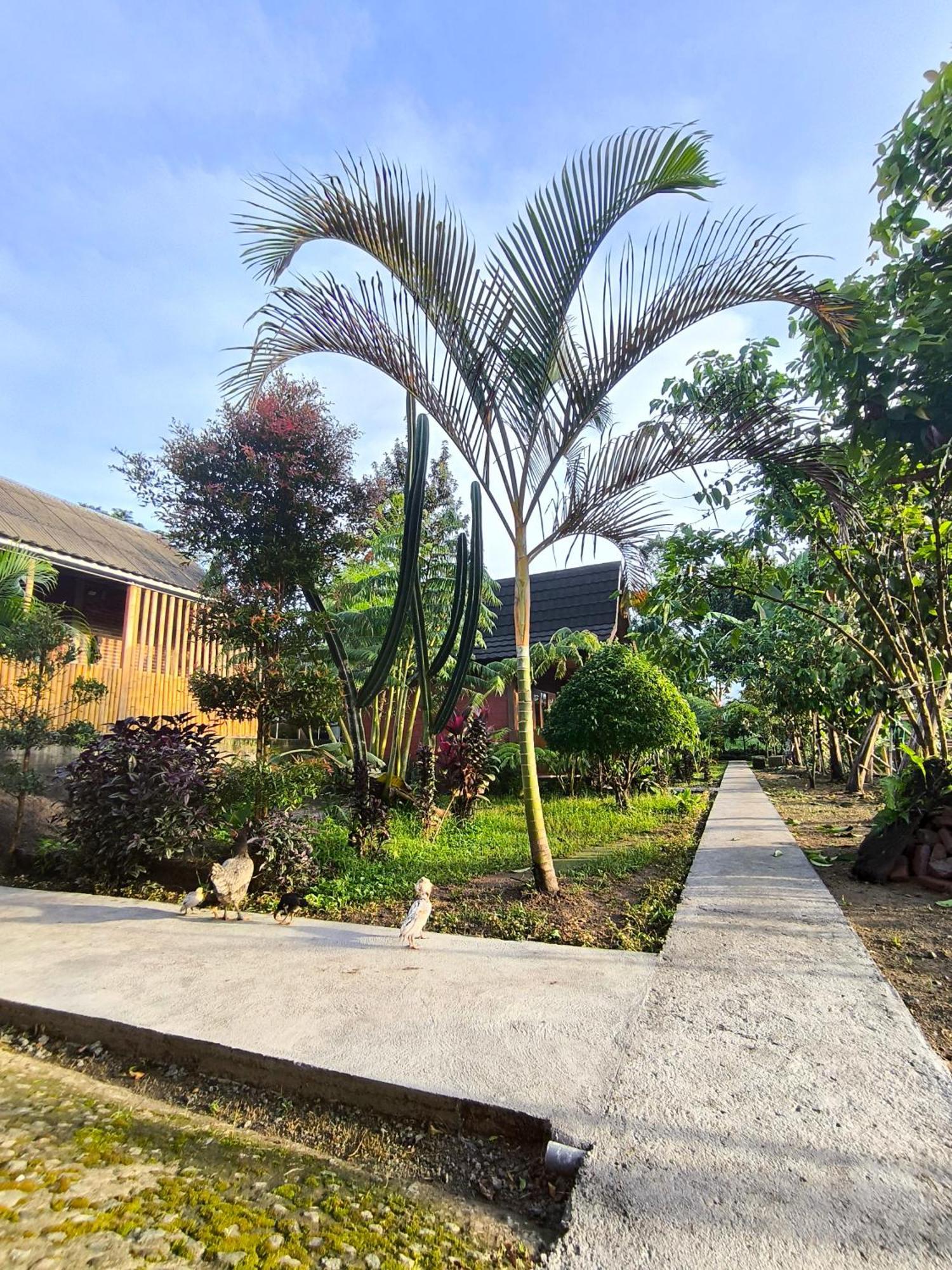 Tetebatu Valley Bungalows Kültér fotó
